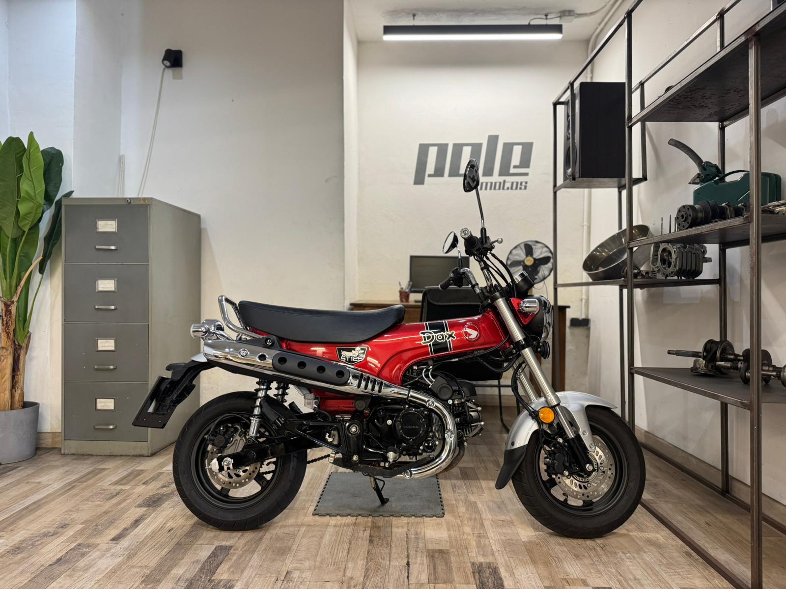 Honda Dax Monkey - Imagen 6